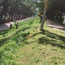 삼문동행정복지센터 이미지