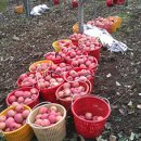 선원농장 이미지