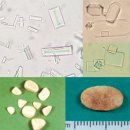 세인트동물병원 이미지