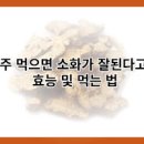 삽주 효능 삽주 뿌리 효능 삽주 가루 백출 이미지