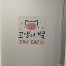 고양이별 캣 카페 이미지