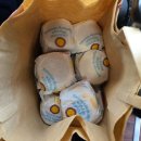 ＜절강대학교 x 남경대학교 연합 MT＞ 후기글🏕️ 이미지