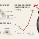 상업용 43 이미지