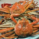 송림 회 식당 Daum카페