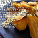 [생활수필1.누비는 사람들]05.‘쫀드기’와 ‘빼때기’ 이미지