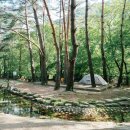 용하공원 화장실 이미지