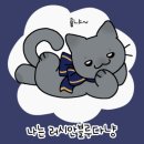 고야미 이미지