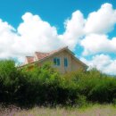 애니 팜 | 하늬라벤더팜 축제 끝난 9월의 고성 보랏빛 아이스크림과 스탬프 투어