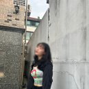 리스(219) 이미지