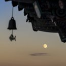 스테이도란 이미지