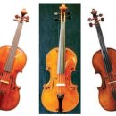 과르네리 이미지