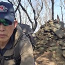 정배산 티스토리