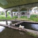 영천강변체육공원주차장 이미지