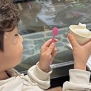 윤성목장 이미지