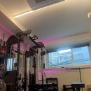 힙핏PT | 영등포PT 원더핏 4회차 후기+힙·코어 제대로 자극 온 날