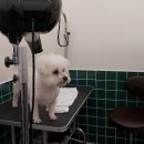 뉴타운 목욕탕 이미지