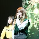 하이디 이미지