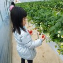 새봄농장 이미지