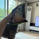 베일리펫케어 이미지