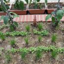 중리할머니경로당 이미지