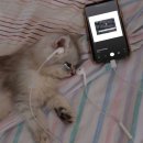 까페 아지트 이미지