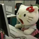 스시랑연어 이미지