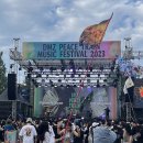 향기나빨래방 | 평화 대축제 DMZ 후기입니다