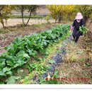 효세농장 이미지