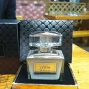 에스씨(SC) 이미지