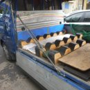 보람자동차정비공업사 이미지