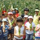 탁장사마을 이미지