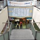 돌고래시장 이미지