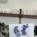 수원 영통 꽃집 <아마레플레르> 꽃다발 예약 후기 (내돈내산)