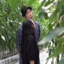 향숙농장 이미지