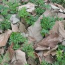 전호농장 이미지