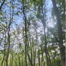 원적산공원 이미지