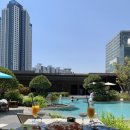 BLUE HAVEN(블루 헤이븐) | [롯데호텔 부산] 블루 헤이븐 (Blue Haven) + 할인 방법까지!
