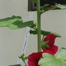 대자연농원 이미지