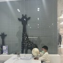 심재원한의원 | 내 돈 내산 심재원한의원 복용 후기, 내돈내산 아이클타임