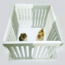 씨엠코리아 이미지