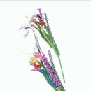 eyefactory 이미지