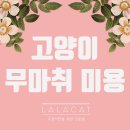 라라까까 이미지