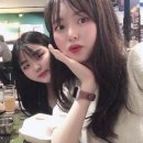 다이카페