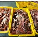 알찬대게 이미지