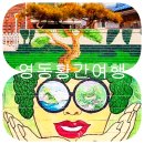 영동 황간 황주동 벽화마을(황간중학교 1학년 벽화반)