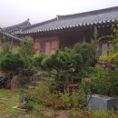 황금빛 민박 이미지