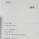 백비