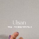 네일예다움 이미지