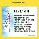 손가락으로 보는 성격 이미지