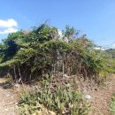 남원읍-94 이미지